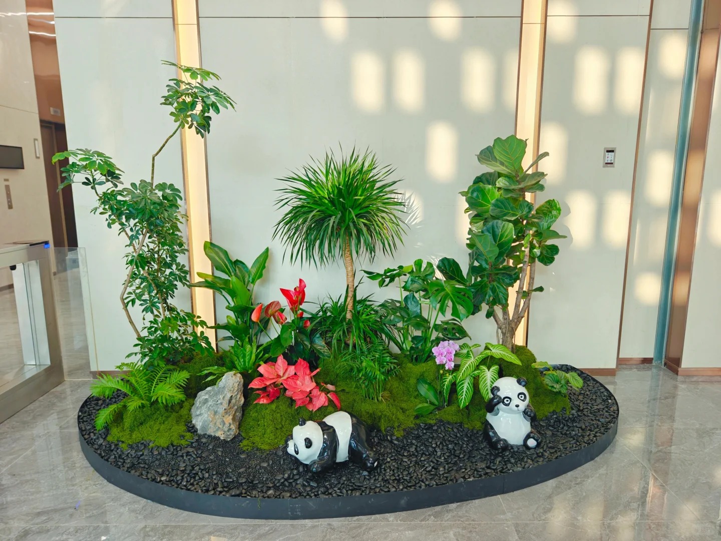 优质奉化盆景出租服务，让绿植为您的空间加分！